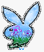 playboy_bunny_3.gif