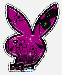 playboy_bunny_5.gif