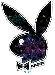 playboy_bunny_6.gif