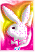 playboy_bunny_18.gif