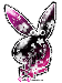 playboy-7.gif