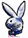 playboy-9.gif