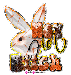 playboy-12.gif
